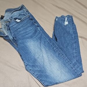 Flying Monkey Distressed Blue Skinny Jeans